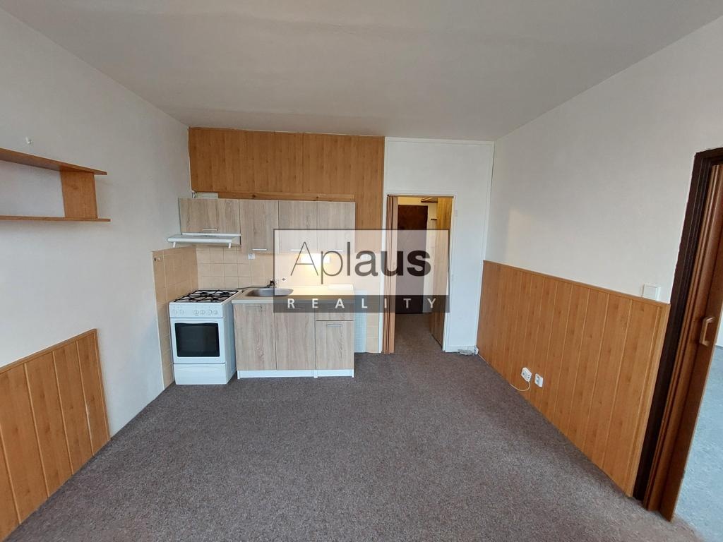 Pronájem bytu 1+1, České Budějovice